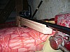 P1020161.JPG