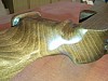 SNC00063.jpg